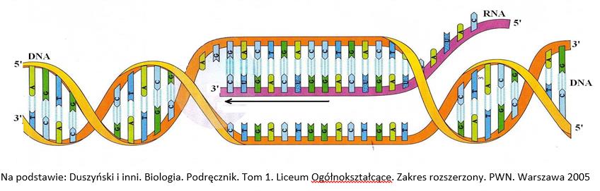 pl/images/ _EGZAMIN_MATURALNY_OD_2015 /Informatory/2015/MATURA_2015_ Wybrane_wzory_i_sta%C5%82e fizykochemiczne.pdf 15.