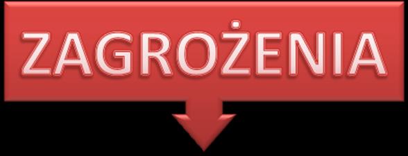 - Wciąż odczuwalne negatywne efekty kryzysu finansowo-ekonomicznego czego skutkiem podmioty gospodarcze odkładają swoje plany inwestycyjne, maleje skłonność do podejmowania współpracy ; -