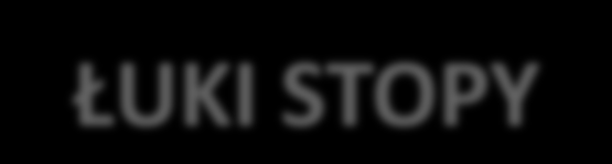 ŁUKI STOPY ŁUK PODŁUŻNY PRZYŚRODKOWY (DYNAMICZNY): guz piętowy, kośd łódkowata,