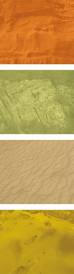 Konferencję przygotowuje zespół pracowników naukowych i doktorantów Wydziału Geologii Uniwersytetu Warszawskiego we współpracy z sedymentologami z Państwowego Instytutu Geologicznego- Państwowego