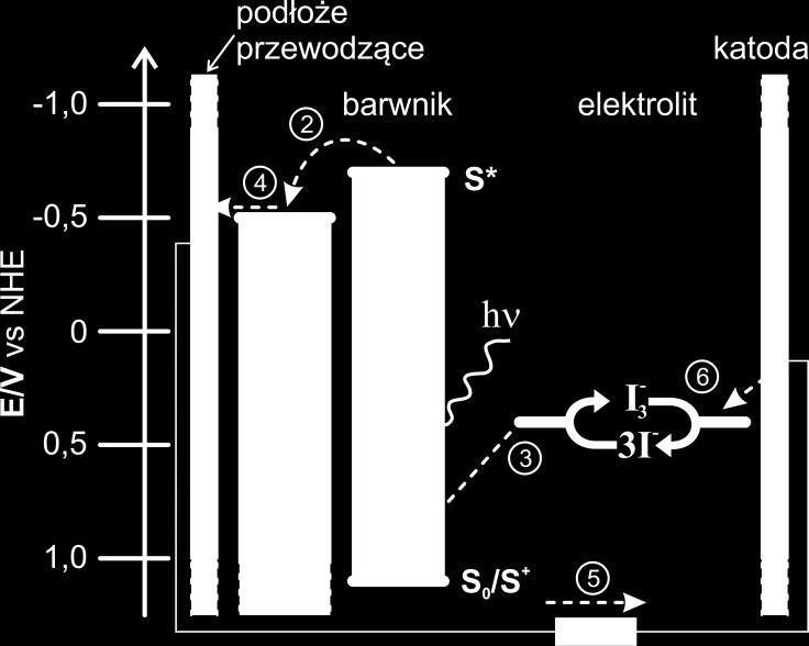Mechanizm generacji nośników ładunku w ogniwie barwnikowym jest następujący (Rys. 2).