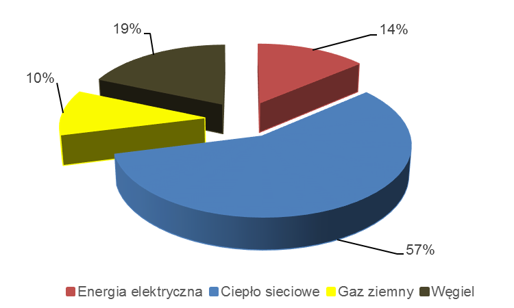Jak wynika z wykresu powyżej w strukturze zużycia energii zdecydowanie przeważa węgiel (80%), następnie gaz ziemny (13%). 5.2.