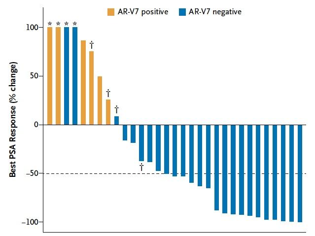 AR-V7 splice variant Abirateron (n=31)