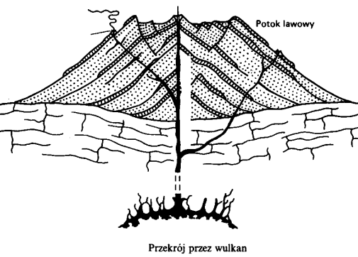Polecenie 9. Rysunek przedstawia przekrój przez wulkan. Oznacz odpowiednio elementy wulkanu. a) Przewód (komin) b) Stożki pasożytnicze, c) Ognisko (komora wulkaniczna) d) krater Polecenie 10.