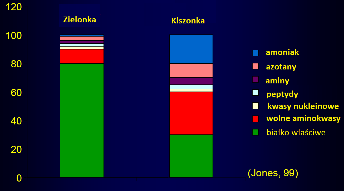 Frakcja białkowa w