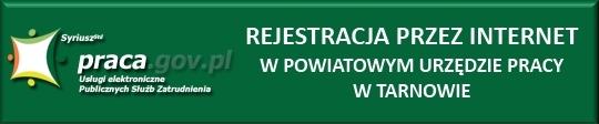 i pracodawcom dostępu do tych usług. W celu usprawnienia procesu rejestracji tutejszy Urząd wprowadził możliwość rejestracji osób bezrobotnych i poszukujących pracy przez Internet.