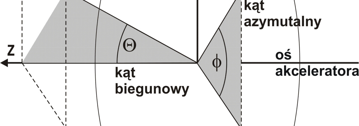 Detektorowe systemy pomiarowe typu TRIDAQ w eksperymentach FWE 41 elementarnych wymaga zastosowania zróżnicowanych typów detektorów [5].