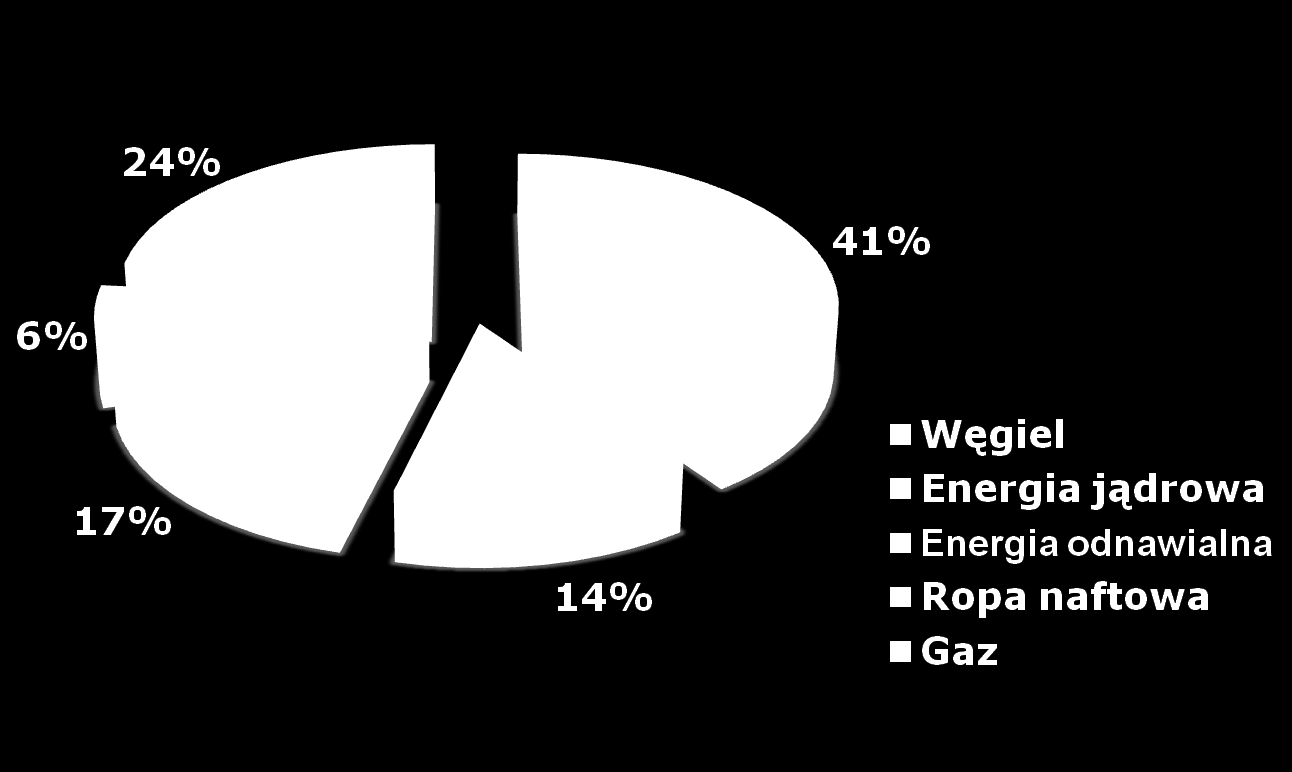Udział poszczególnych paliw w