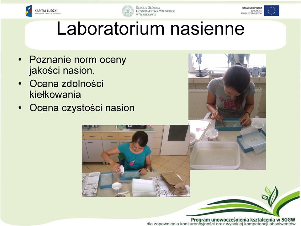 jakości nasion.