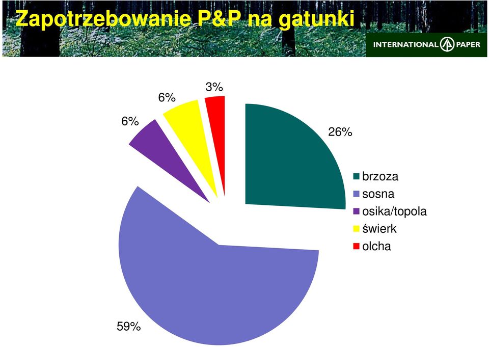 brzoza sosna