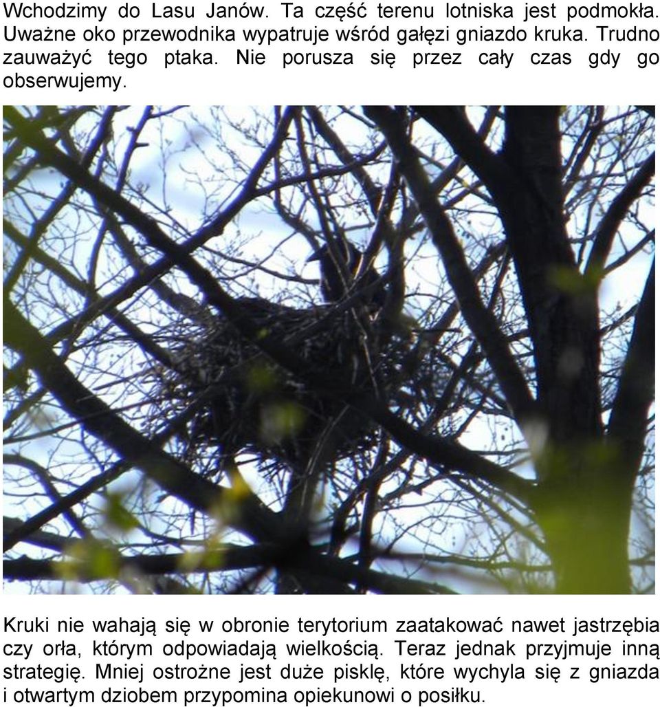 Nie porusza się przez cały czas gdy go obserwujemy.