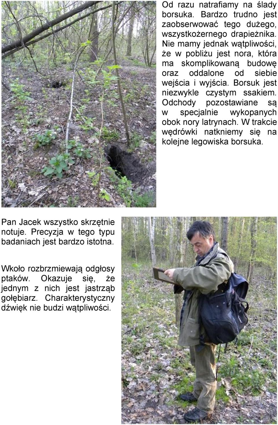 Borsuk jest niezwykle czystym ssakiem. Odchody pozostawiane są w specjalnie wykopanych obok nory latrynach.
