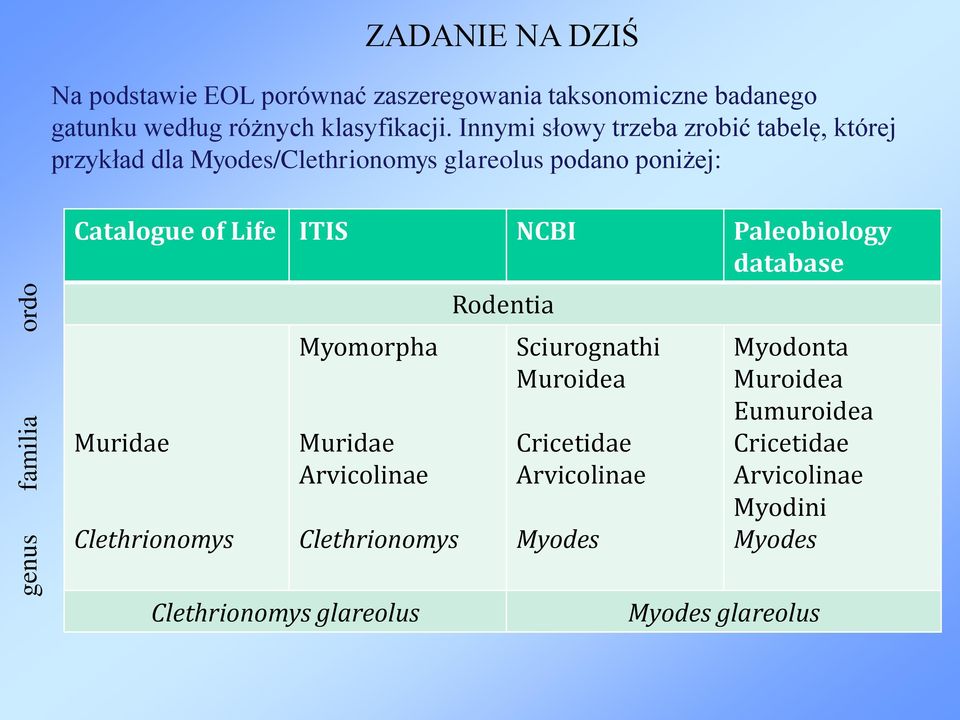 Innymi słowy trzeba zrobić tabelę, której przykład dla Myodes/Clethrionomys glareolus podano poniżej: Catalogue of Life ITIS NCBI
