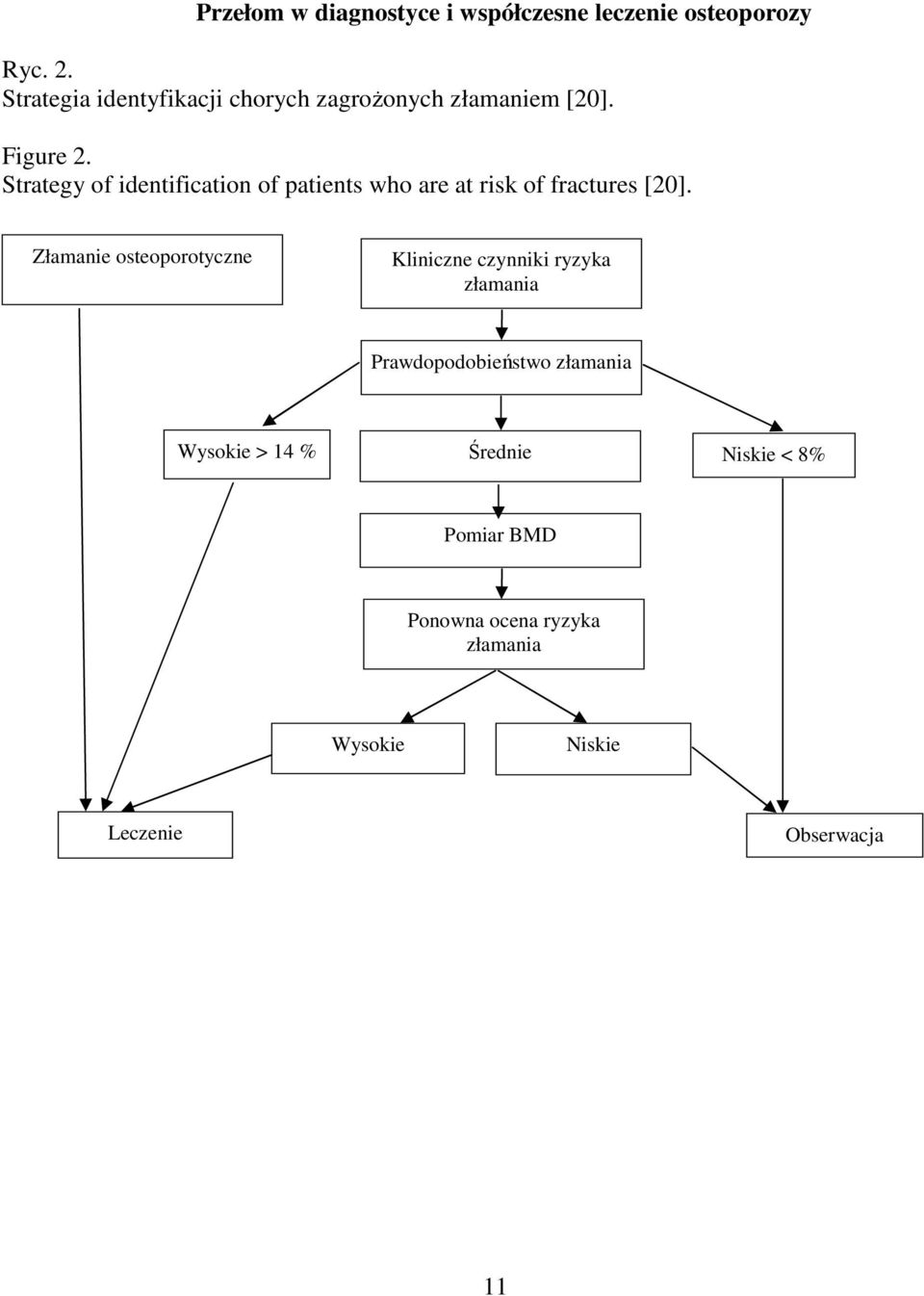 Strategy of identification of patients who are at risk of fractures [20].