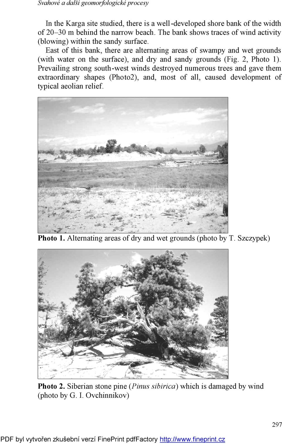 East of this bank, there are alternating areas of swampy and wet grounds (with water on the surface), and dry and sandy grounds (Fig. 2, Photo 1).