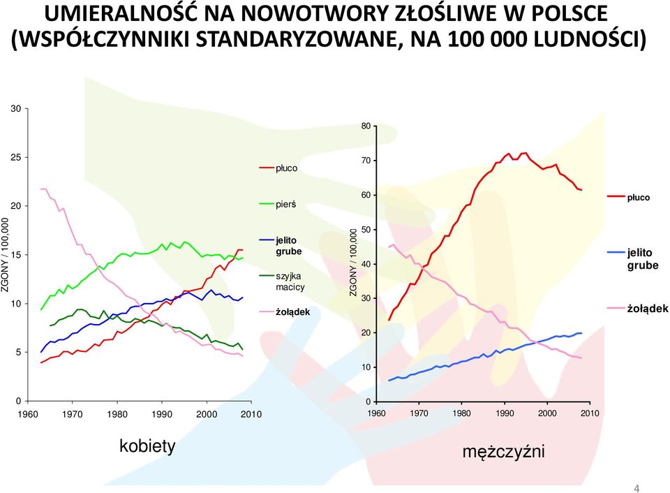 grube szyjka macicy żołądek ZGONY / 100,000 50 40 30 jelito grube żołądek 20 5 10