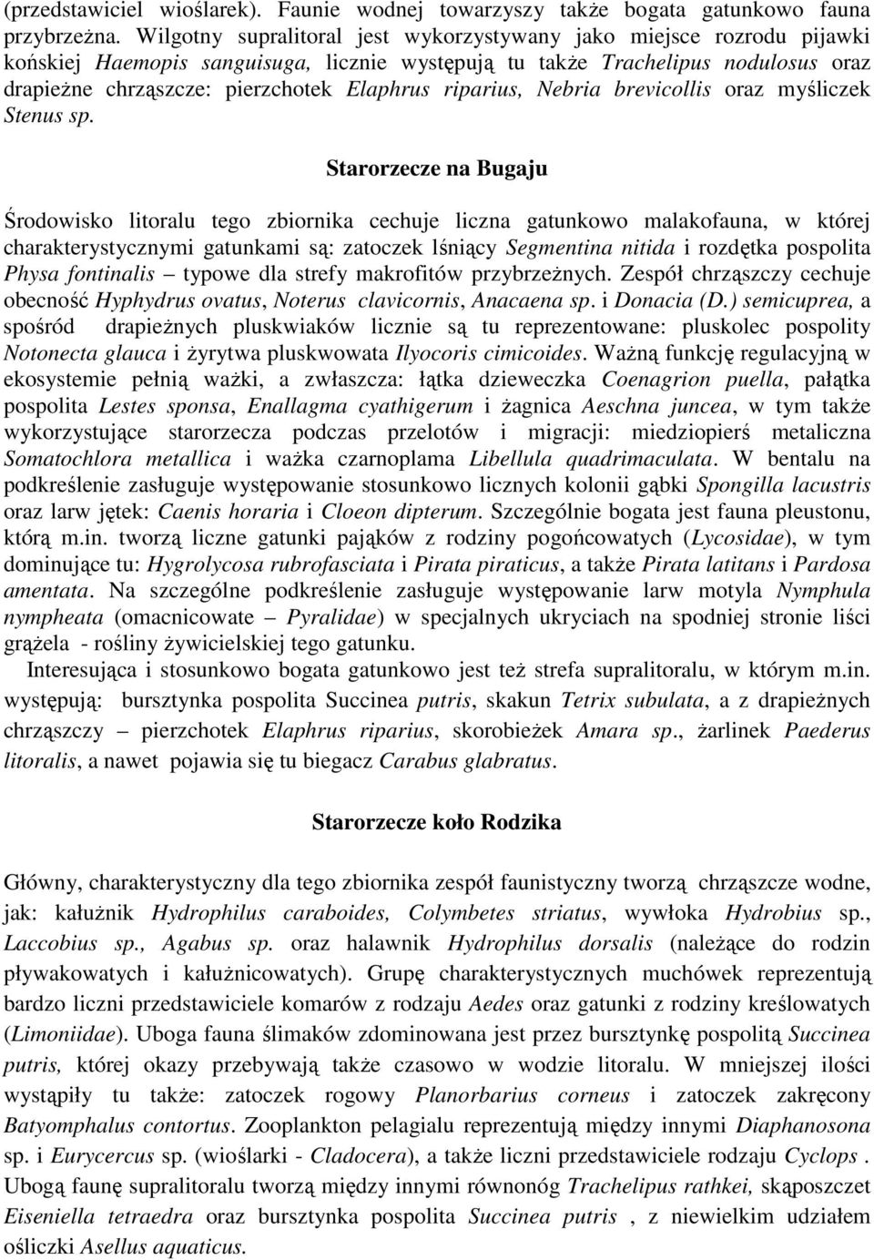 riparius, Nebria brevicollis oraz myśliczek Stenus sp.