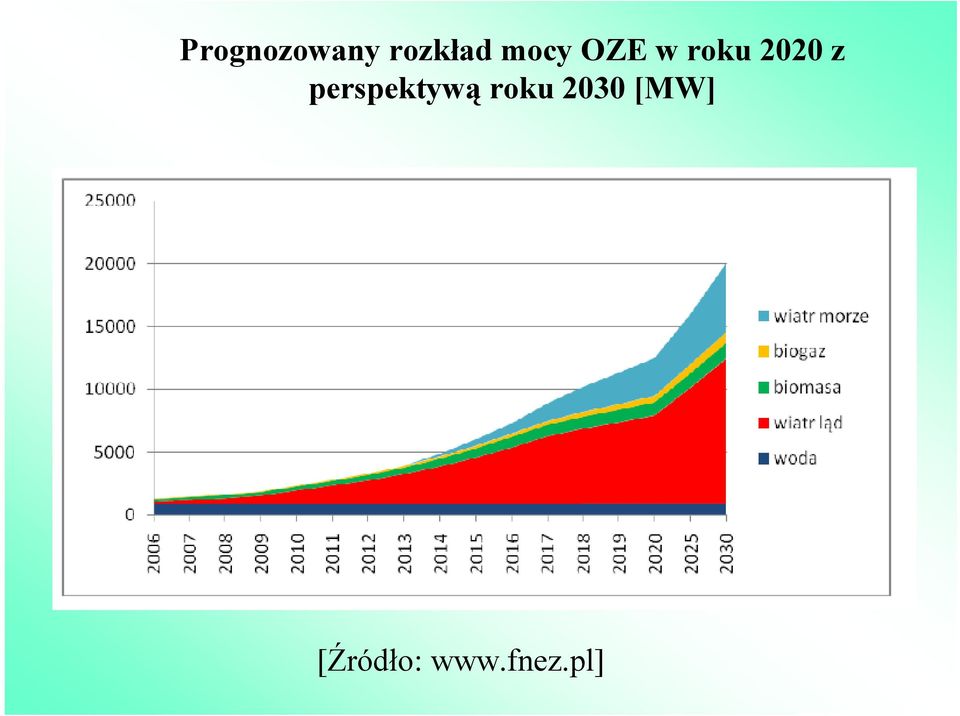 perspektywą roku 2030