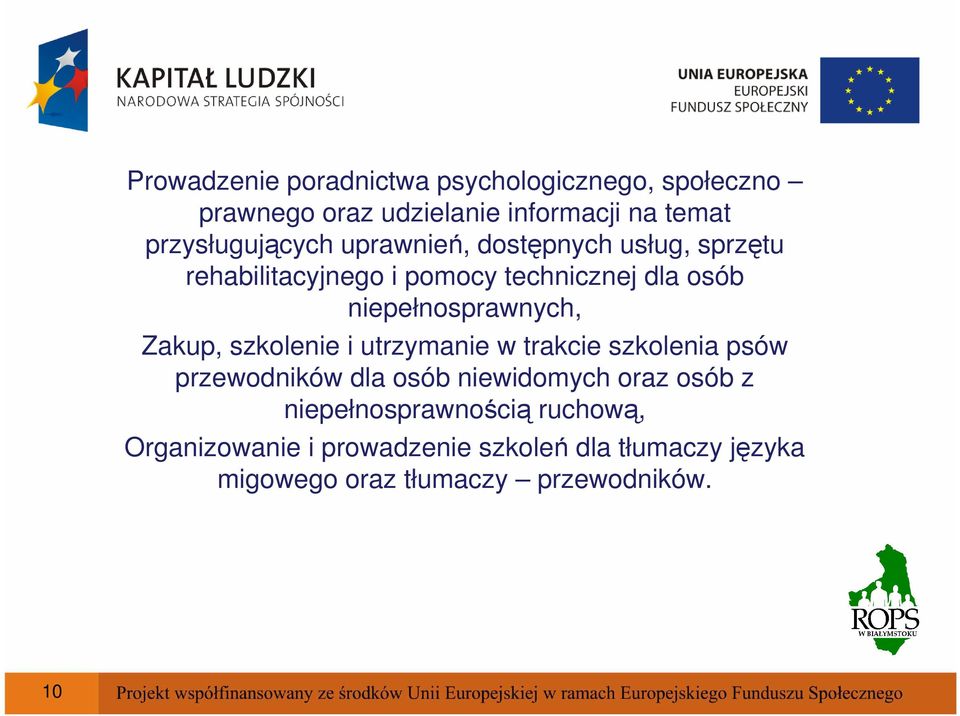 niepełnosprawnych, Zakup, szkolenie i utrzymanie w trakcie szkolenia psów przewodników dla osób niewidomych