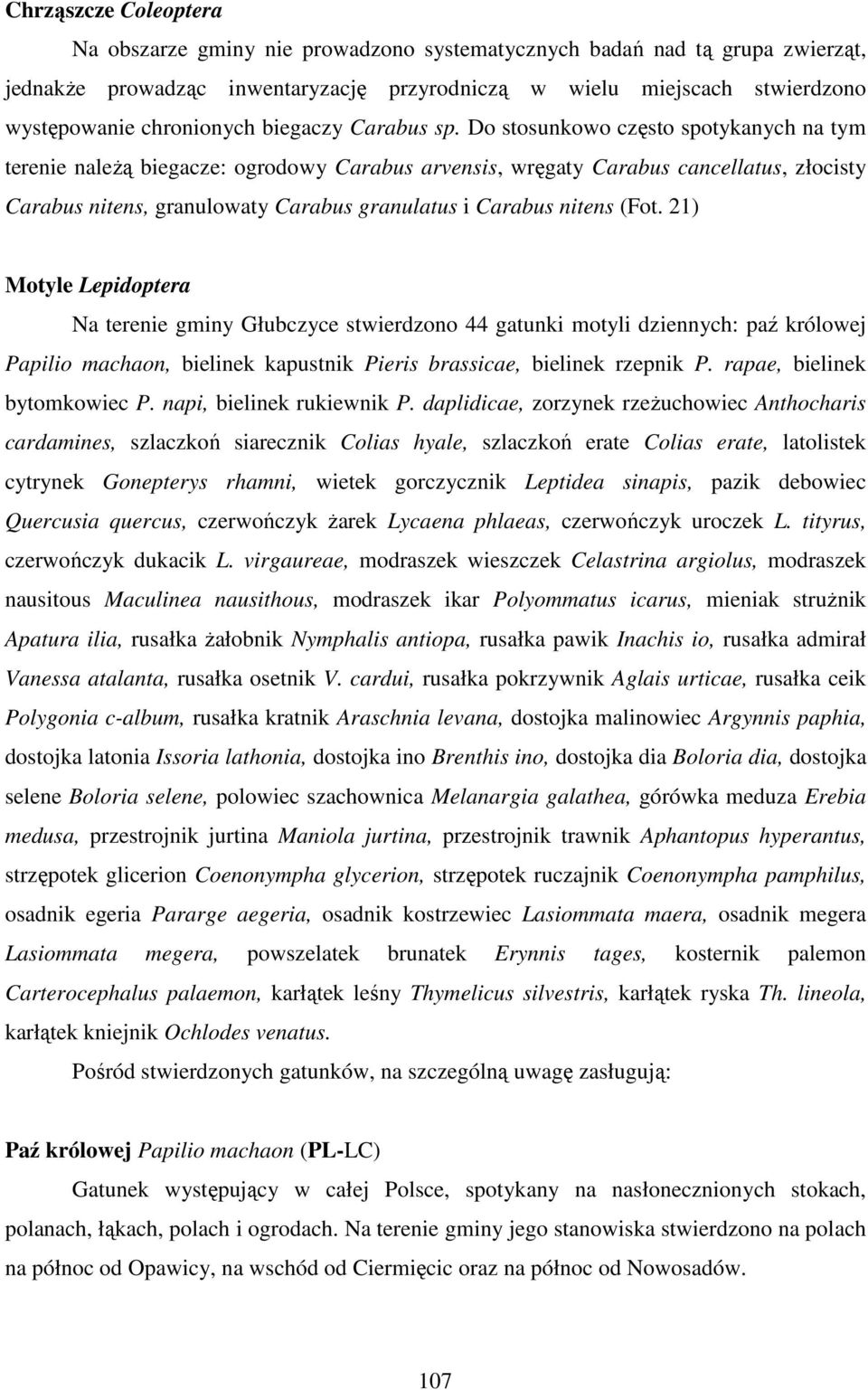Do stosunkowo często spotykanych na tym terenie naleŝą biegacze: ogrodowy Carabus arvensis, wręgaty Carabus cancellatus, złocisty Carabus nitens, granulowaty Carabus granulatus i Carabus nitens (Fot.