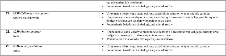 białoskrzydła 28 A230 Merops