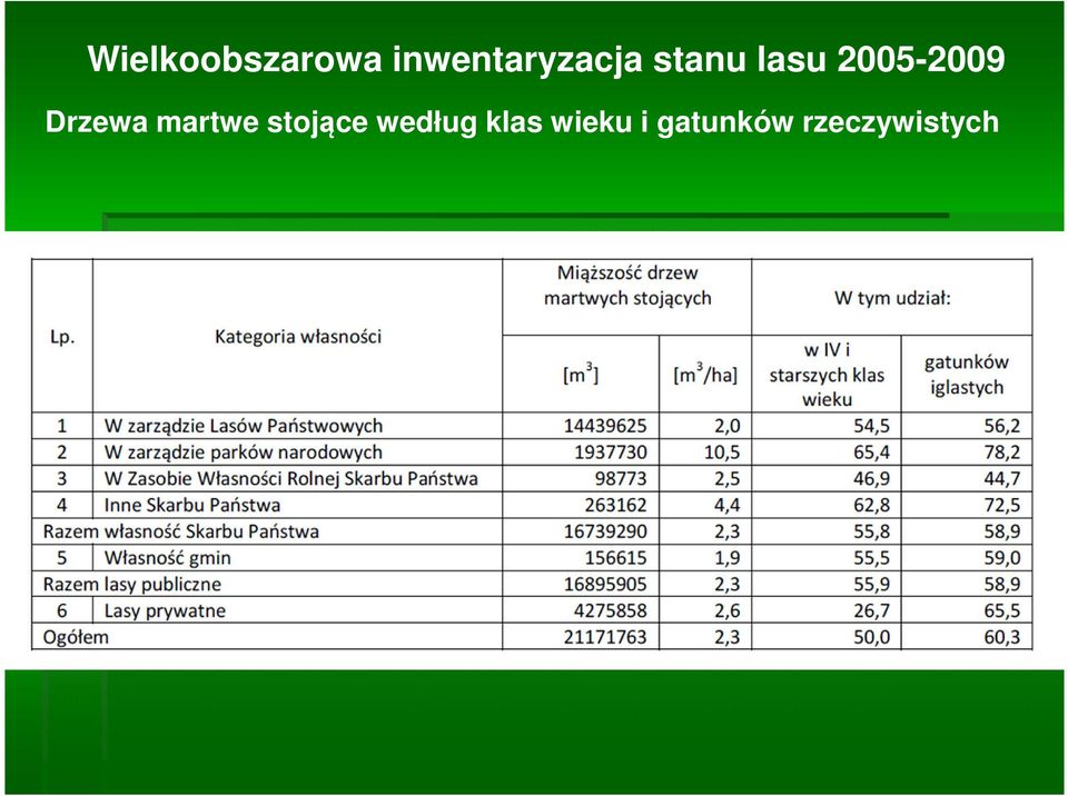 2005-2009 Drzewa martwe