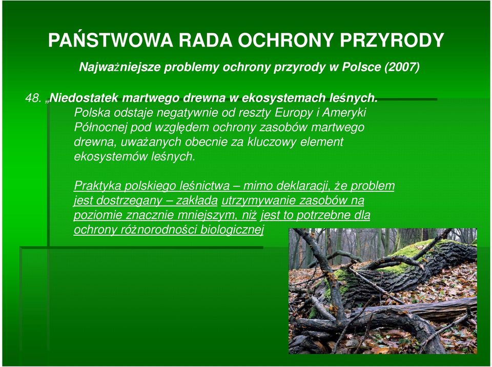Polska odstaje negatywnie od reszty Europy i Ameryki Północnej pod względem ochrony zasobów martwego drewna, uważanych obecnie