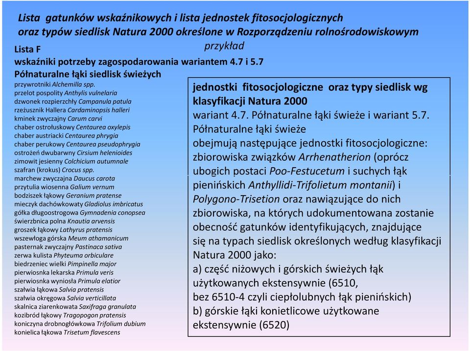 przelot pospolity Anthylis vulnelaria dzwonek rozpierzchły Campanula patula rzeżusznik Hallera Cardaminopsis halleri kminek zwyczajny Carum carvi chaber ostrołuskowy Centaurea oxylepis chaber