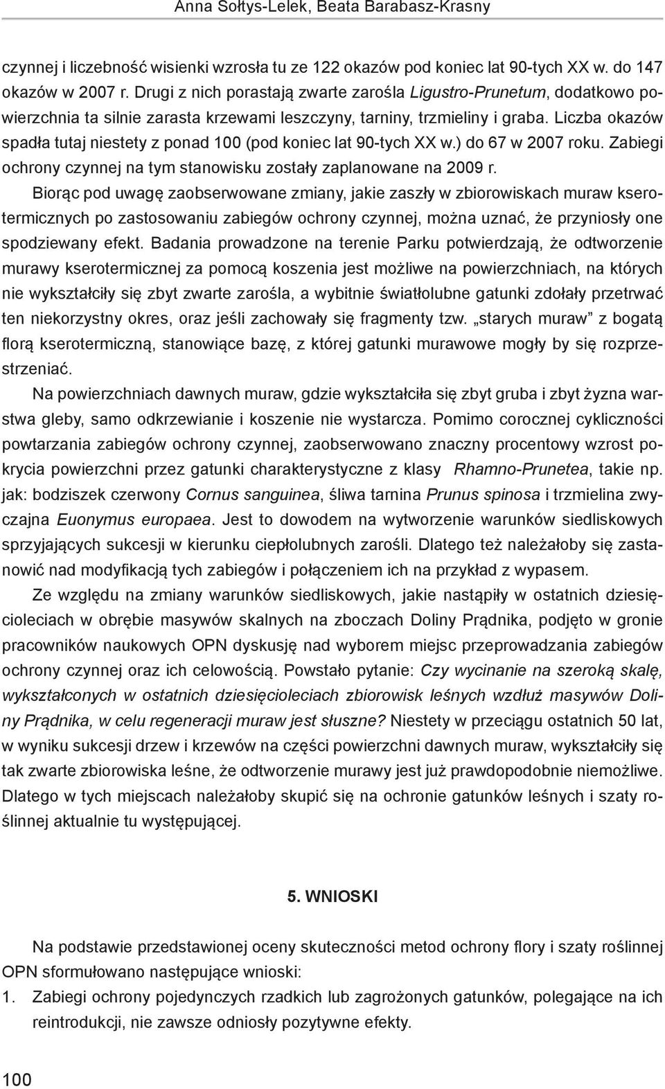 Liczba okazów spadła tutaj niestety z ponad 100 (pod koniec lat 90-tych XX w.) do 67 w 2007 roku. Zabiegi ochrony czynnej na tym stanowisku zostały zaplanowane na 2009 r.