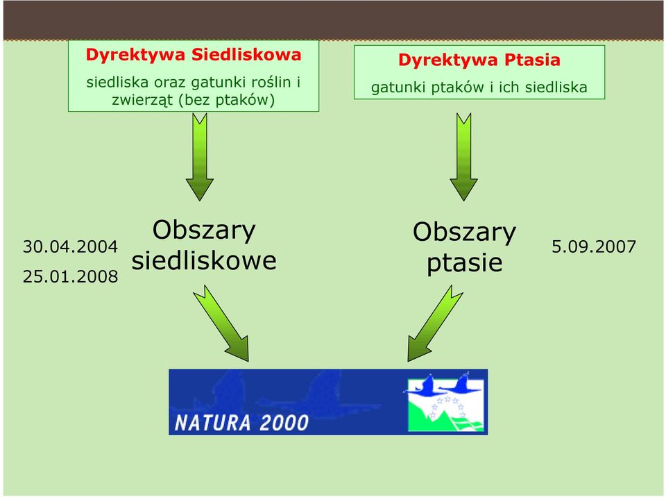 gatunki ptaków i ich siedliska 30.04.2004 25.01.