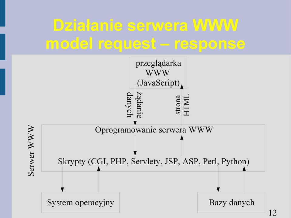 strona HTML Oprogramowanie serwera WWW Skrypty (CGI,