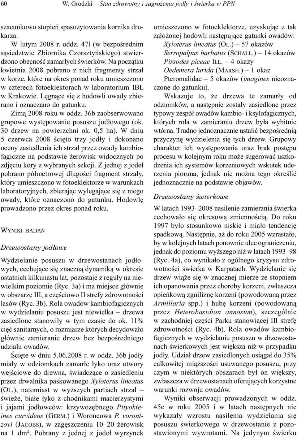 Na początku kwietnia 2008 pobrano z nich fragmenty strzał w korze, które na okres ponad roku umieszczono w czterech fotoeklektorach w laboratorium IBL w Krakowie.