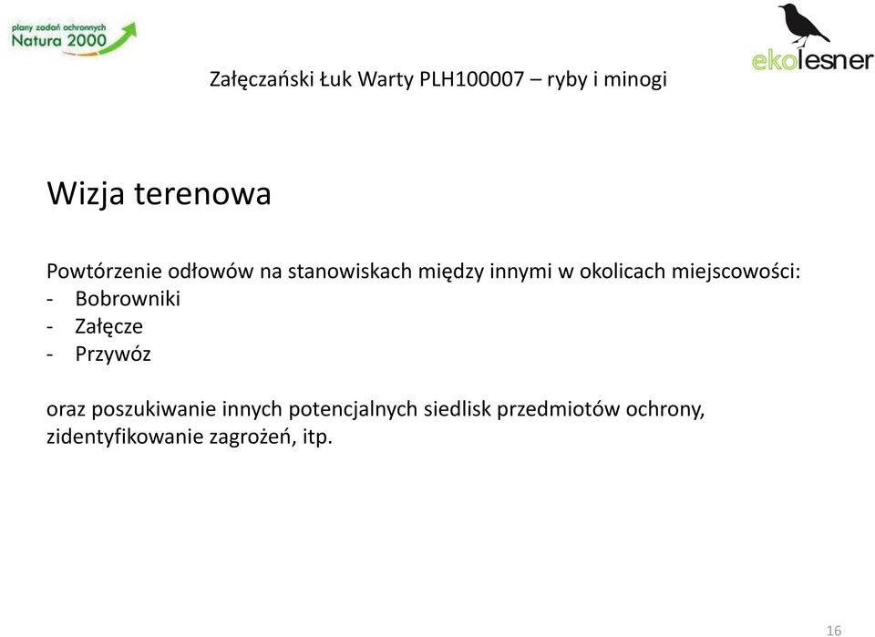 Załęcze - Przywóz oraz poszukiwanie innych potencjalnych