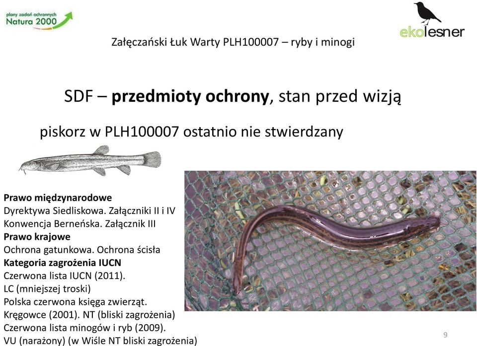 Załącznik III Ochrona gatunkowa. Ochrona ścisła Czerwona lista IUCN (2011).