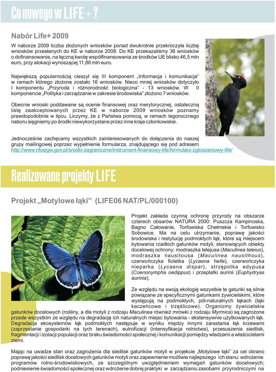 Największą popularnością cieszył się III komponent Informacja i komunikacja w ramach którego złożone zostało 16 wniosków.