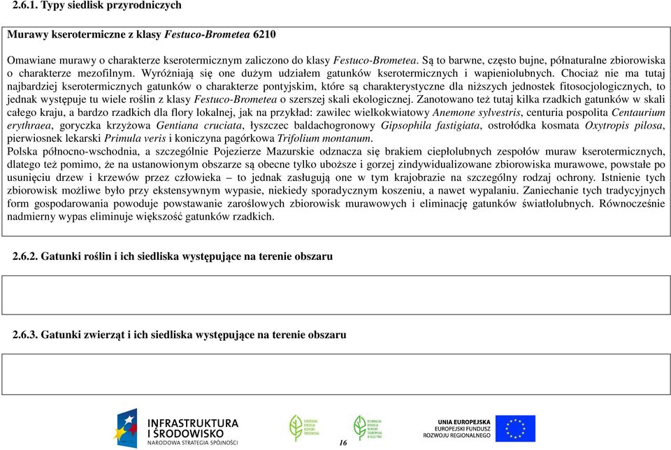 Chociaż nie ma tutaj najbardziej kserotermicznych gatunków o charakterze pontyjskim, które są charakterystyczne dla niższych jednostek fitosocjologicznych, to jednak występuje tu wiele roślin z klasy