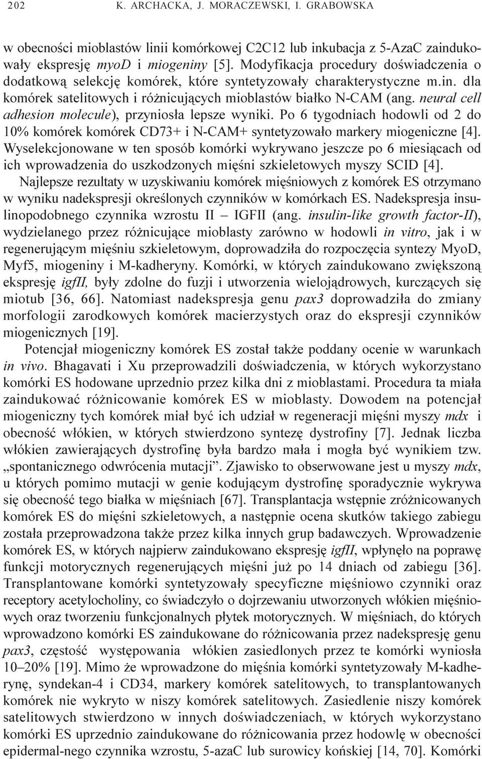 neural cell adhesion molecule), przynios³a lepsze wyniki. Po 6 tygodniach hodowli od 2 do 10% komórek komórek CD73+ i N-CAM+ syntetyzowa³o markery miogeniczne [4].