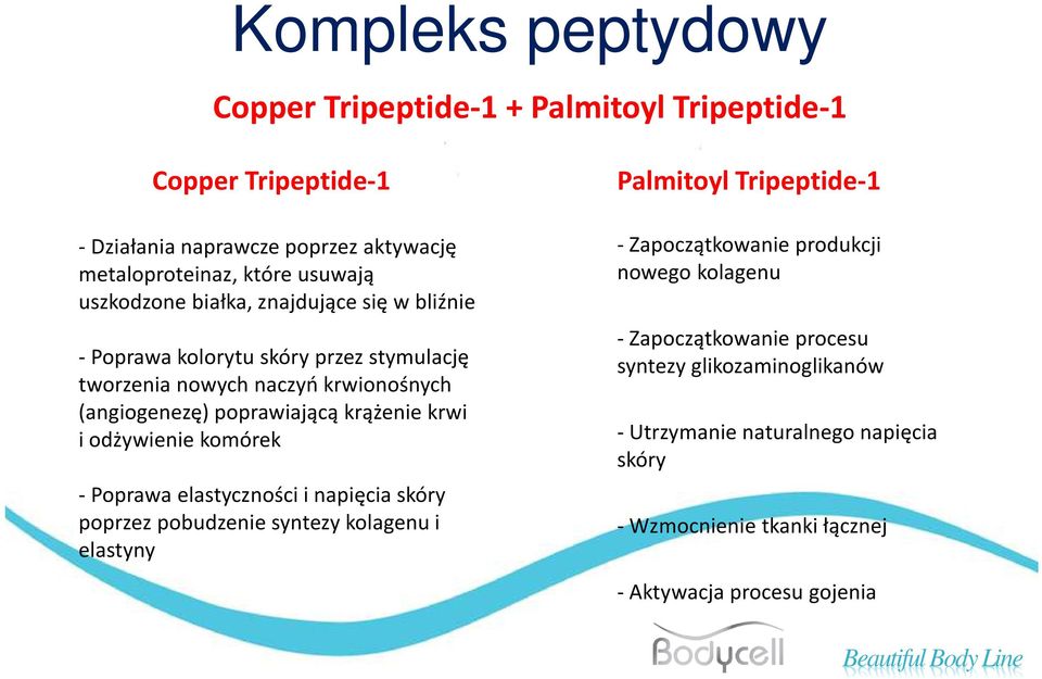 krwi i odżywienie komórek -Poprawa elastyczności i napięcia skóry poprzez pobudzenie syntezy kolagenu i elastyny Palmitoyl Tripeptide-1 -Zapoczątkowanie