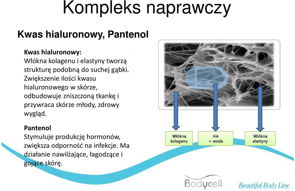 Zwiększenie ilości kwasu hialuronowego w skórze, odbudowuje zniszczoną tkankę i przywraca skórze młody,
