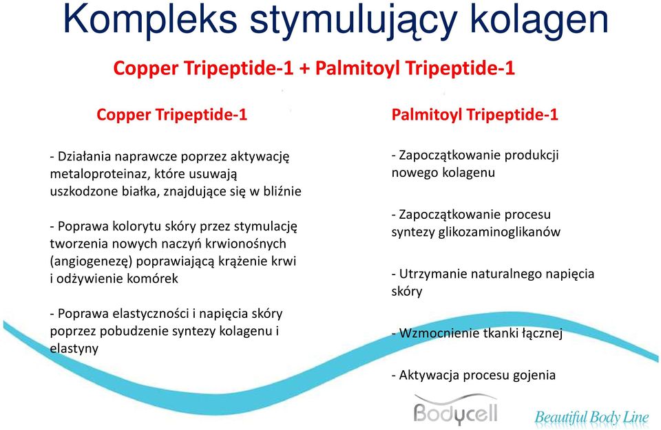 krążenie krwi i odżywienie komórek -Poprawa elastyczności i napięcia skóry poprzez pobudzenie syntezy kolagenu i elastyny Palmitoyl Tripeptide-1 -Zapoczątkowanie