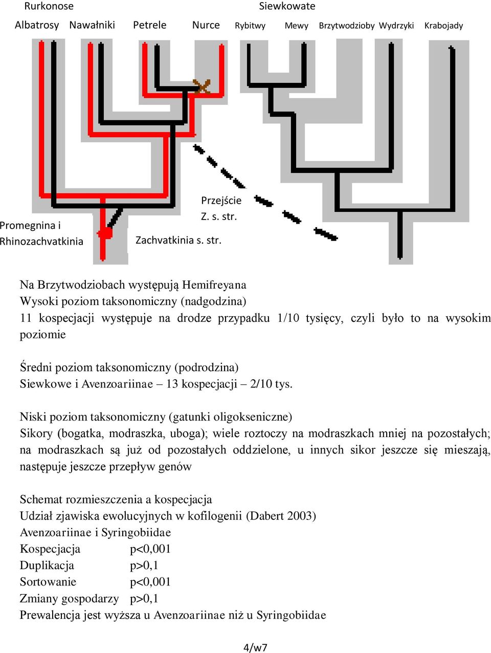 Na Brzytwodziobach występują Hemifreyana Wysoki poziom taksonomiczny (nadgodzina) 11 kospecjacji występuje na drodze przypadku 1/10 tysięcy, czyli było to na wysokim poziomie Średni poziom