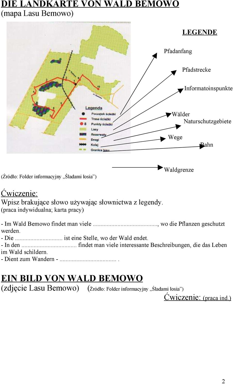 (praca indywidualna; karta pracy) - Im Wald Bemowo findet man viele..., wo die Pflanzen geschutzt werden. - Die.