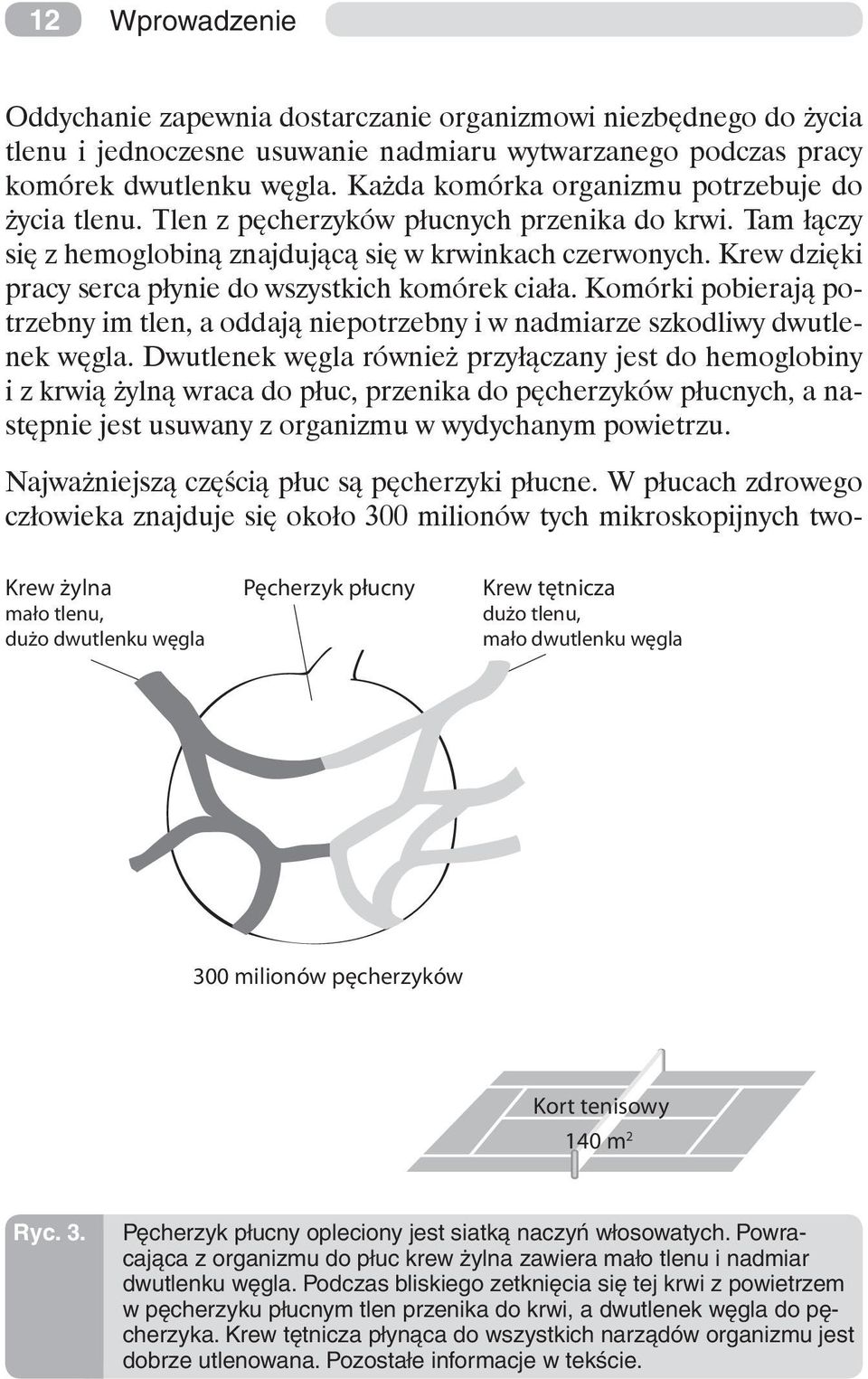 Krew dzięki pracy serca płynie do wszystkich komórek ciała. Komórki pobierają potrzebny im tlen, a oddają niepotrzebny i w nadmiarze szkodliwy dwutlenek węgla.