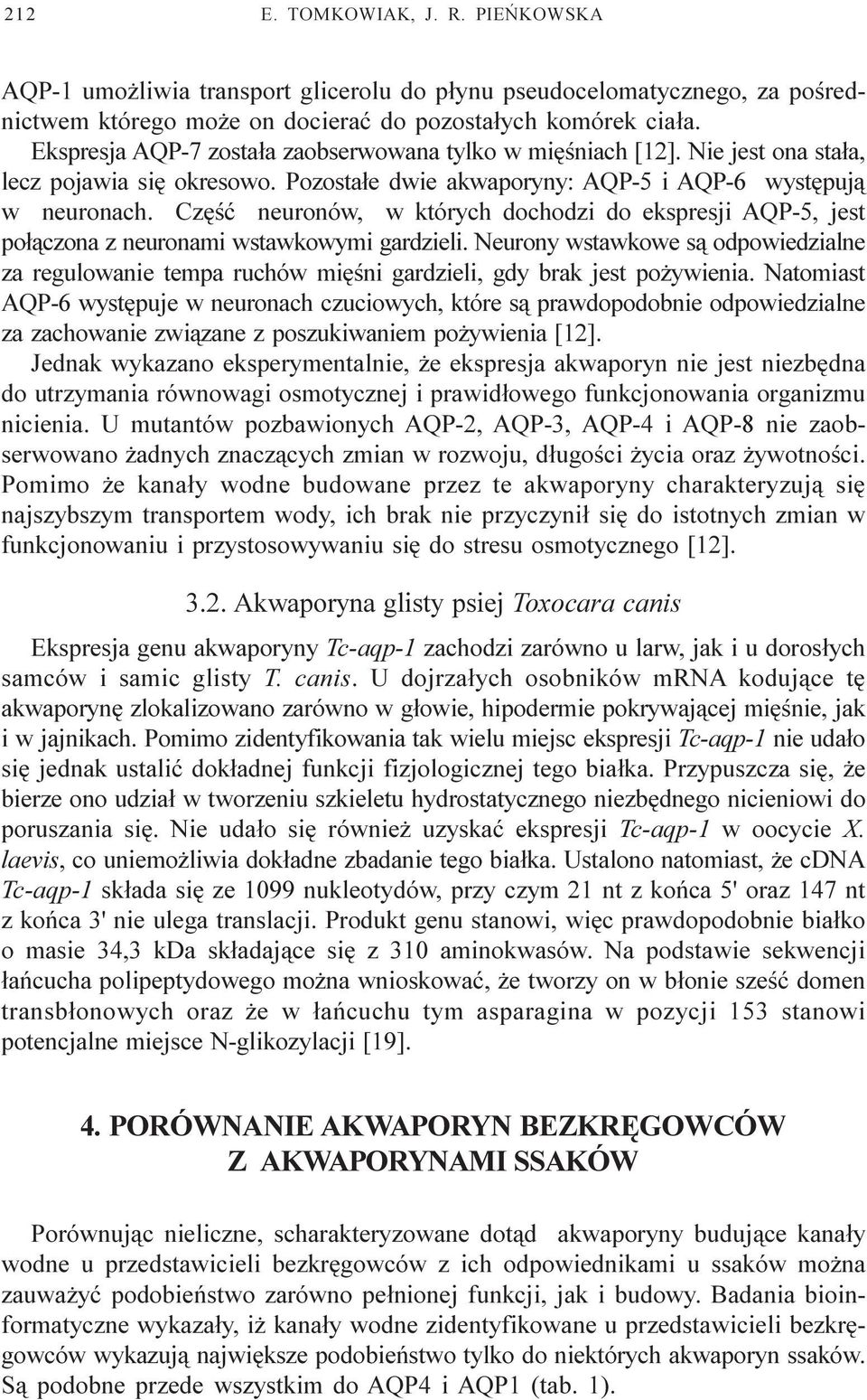 Czêœæ neuronów, w których dochodzi do ekspresji AQP-5, jest po³¹czona z neuronami wstawkowymi gardzieli.