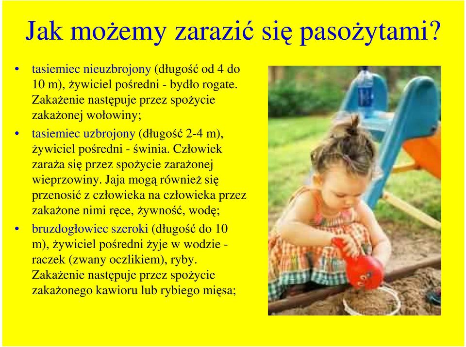 Człowiek zaraŝa się przez spoŝycie zaraŝonej wieprzowiny.