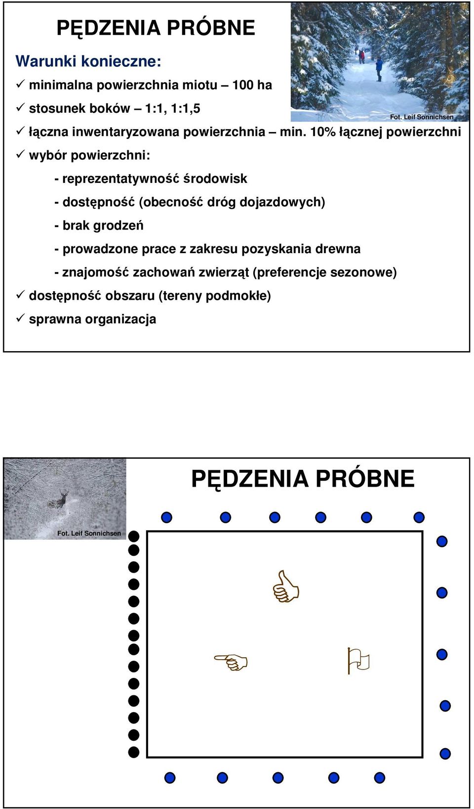 10% łącznej powierzchni wybór powierzchni: - reprezentatywność środowisk - dostępność (obecność dróg dojazdowych) - brak