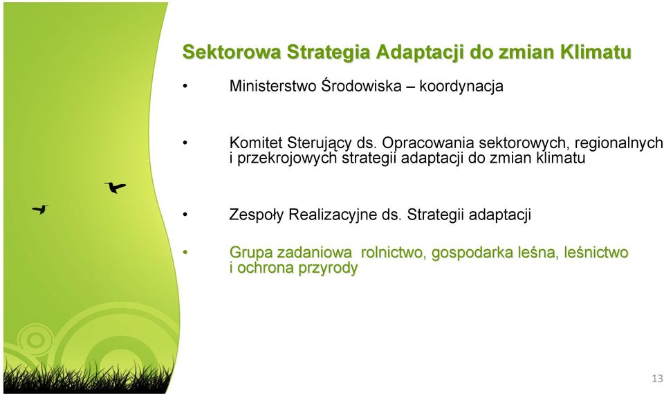 Opracowania sektorowych, regionalnych i przekrojowych strategii adaptacji do