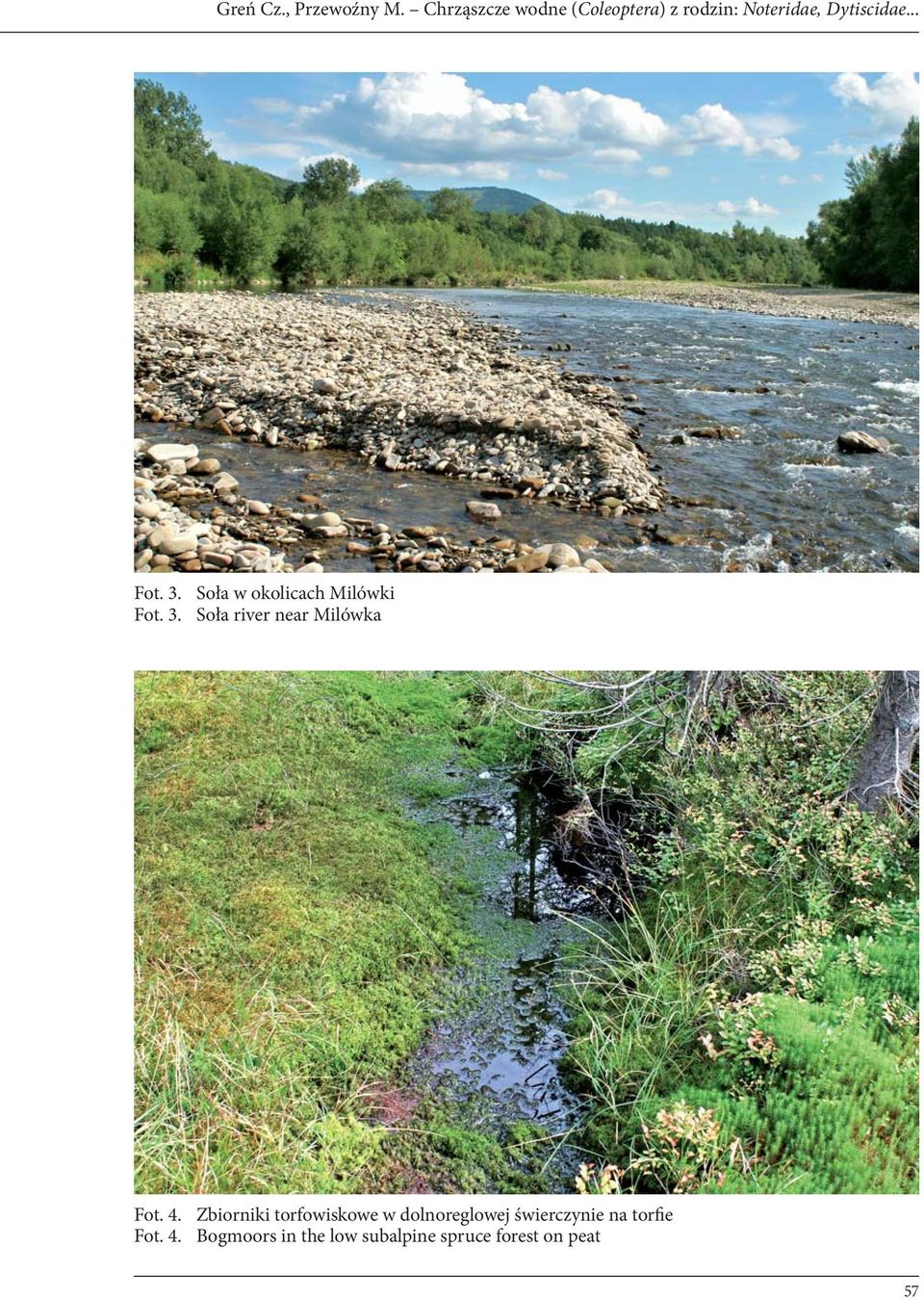 3. Soła w okolicach Milówki Fot. 3. Soła river near Milówka Fot. 4.