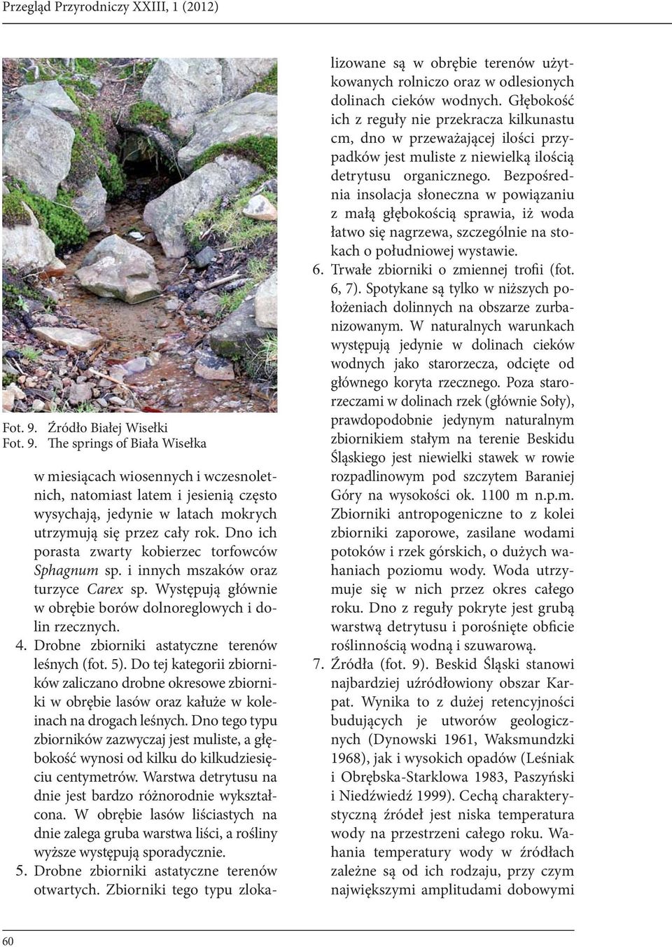 Dno ich porasta zwarty kobierzec torfowców Sphagnum sp. i innych mszaków oraz turzyce Carex sp. Występują głównie w obrębie borów dolnoreglowych i dolin rzecznych.