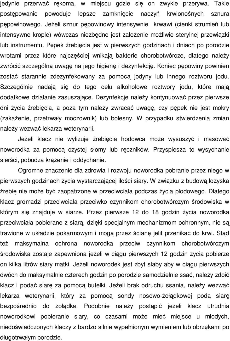 Pępek źrebięcia jest w pierwszych godzinach i dniach po porodzie wrotami przez które najczęściej wnikają bakterie chorobotwórcze, dlatego należy zwrócić szczególną uwagę na jego higienę i dezynfekcję.